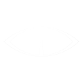Logo of a Lynx's eye